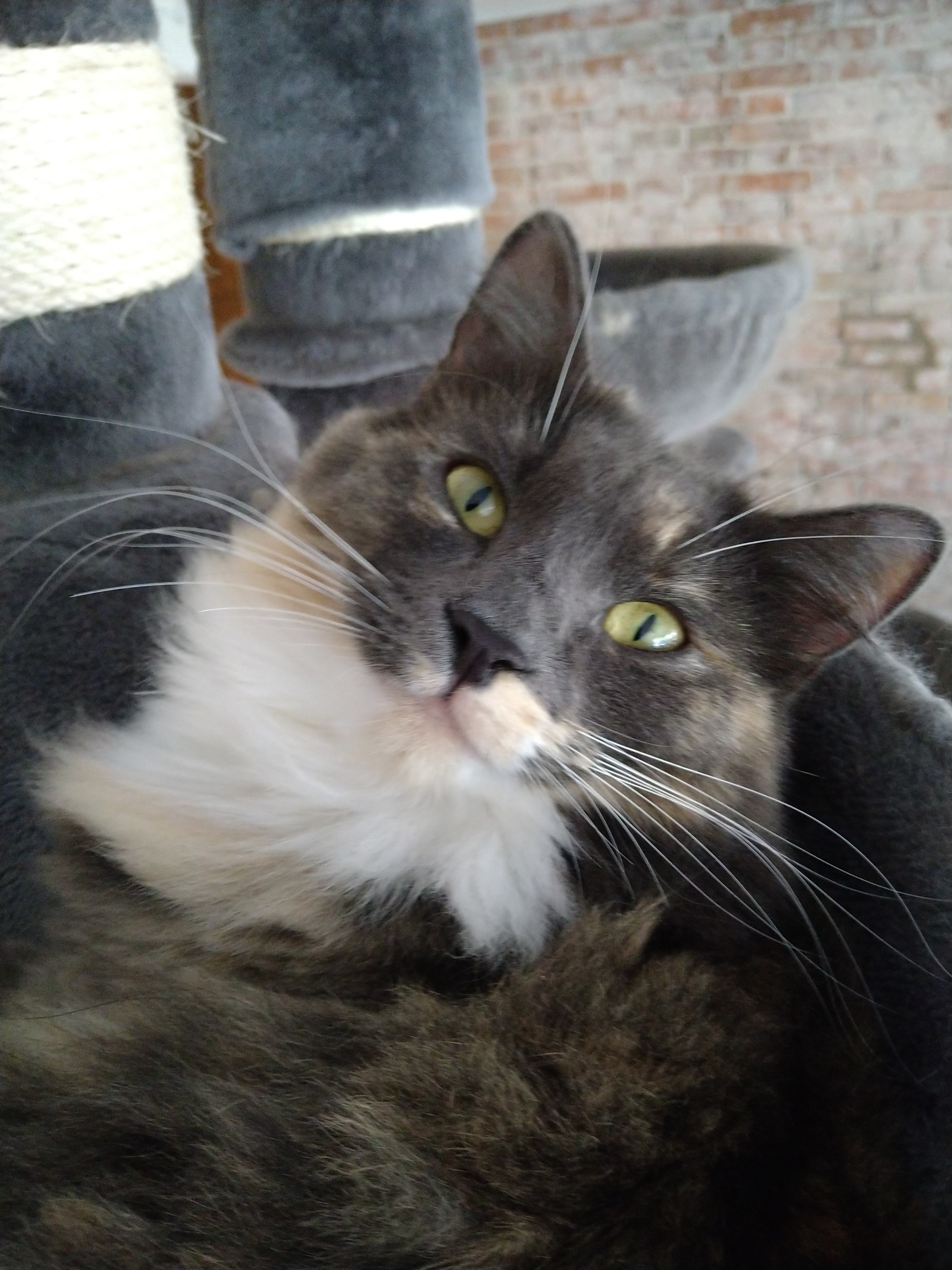 Mozzarella TankeStationens fikaansvariga