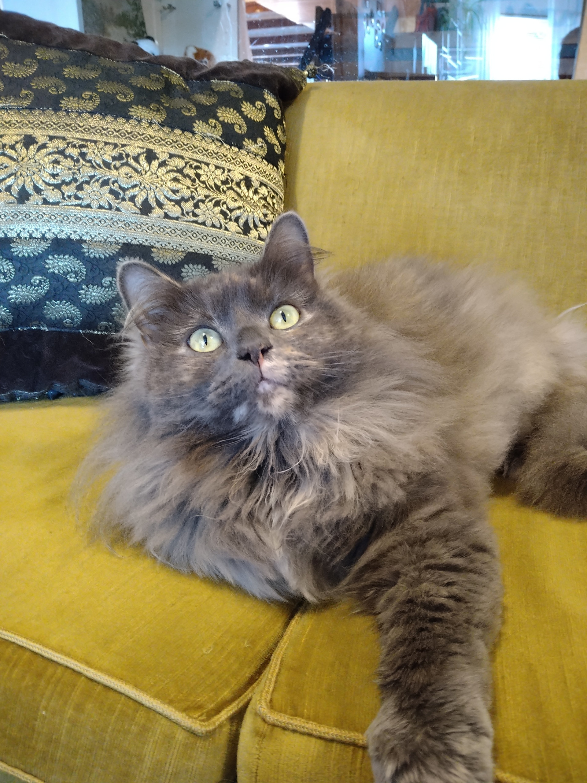 Alpha TankeStationens personalansvariga