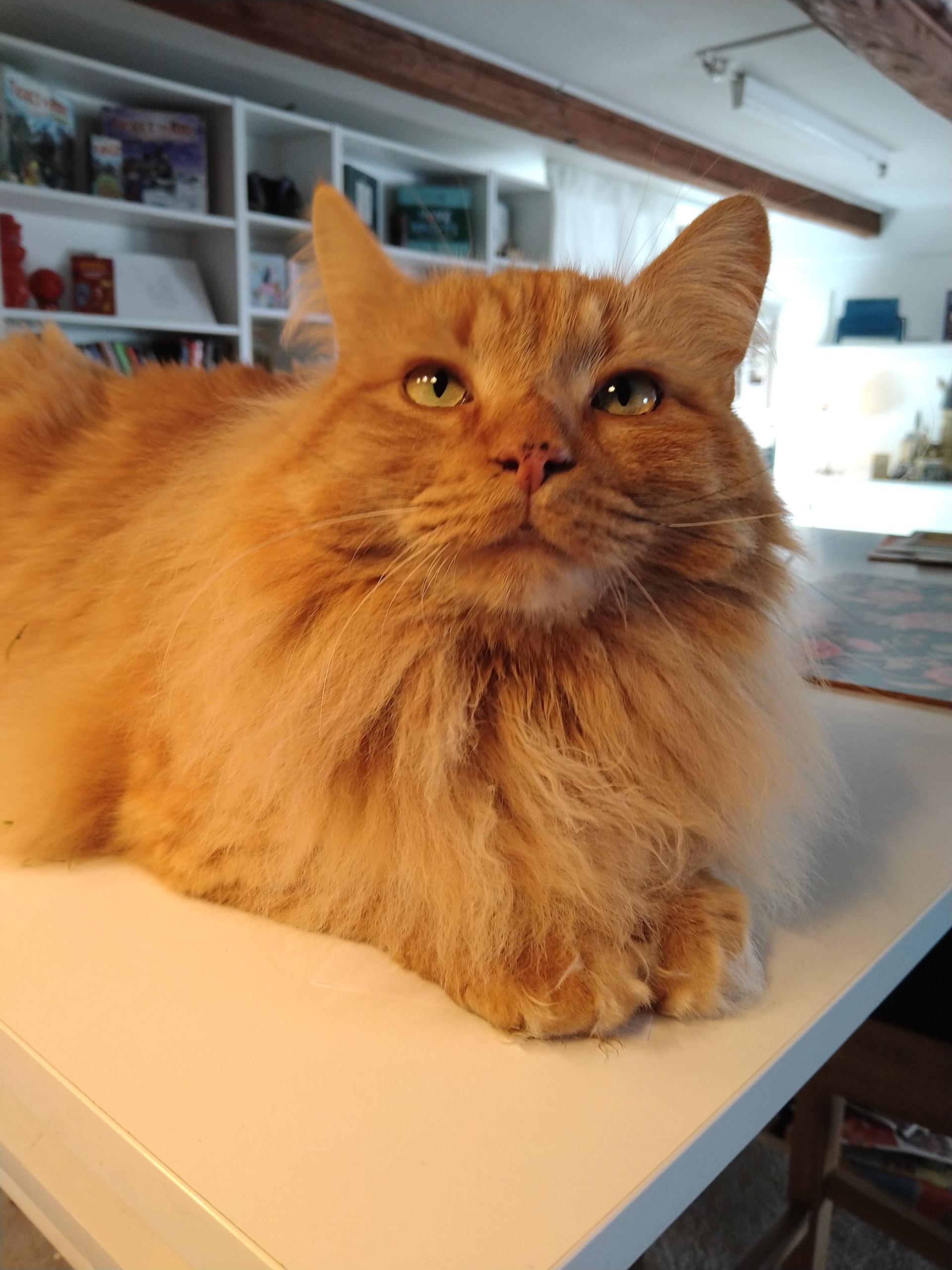 Omega TankeStationens lugna ledare